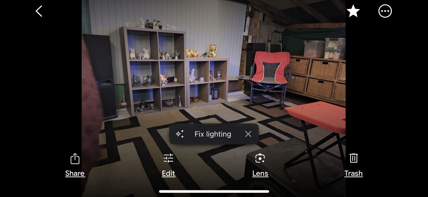 Living room with shelving and collectibles